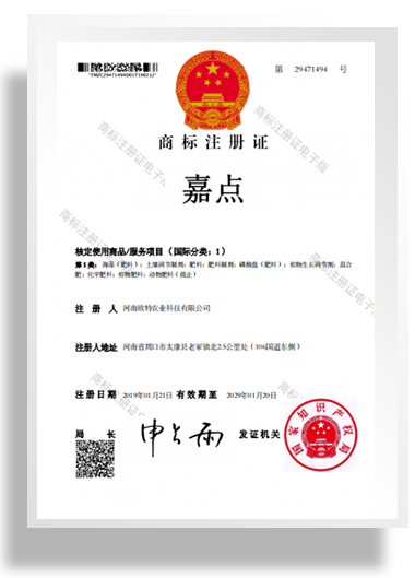 商標(biāo)注冊證書-嘉點(diǎn)