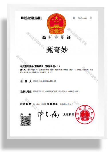 商標(biāo)注冊(cè)證書(shū)-甄奇妙