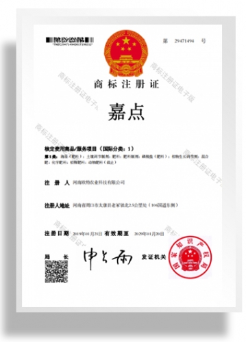 商標(biāo)注冊(cè)證書-嘉點(diǎn)