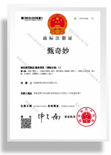 商標(biāo)注冊(cè)證書-甄奇妙