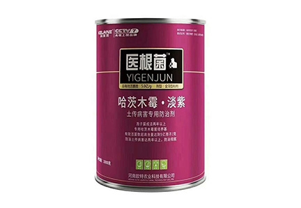 醫(yī)根菌1kg