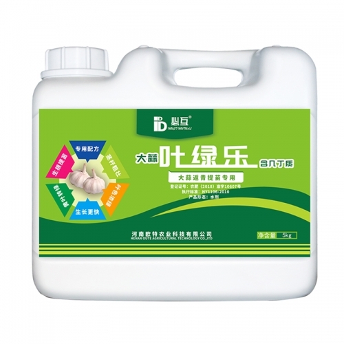 必互大蒜葉綠樂(lè)