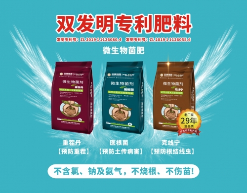 甘肅不燒根,不傷苗 , 菌肥