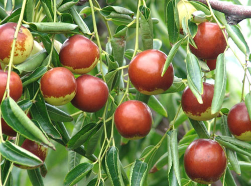 1625626738995898.png 微信圖片_20210707105547.png