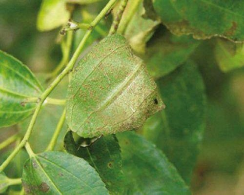 1625626748949612.png 微信圖片_20210707105602.png