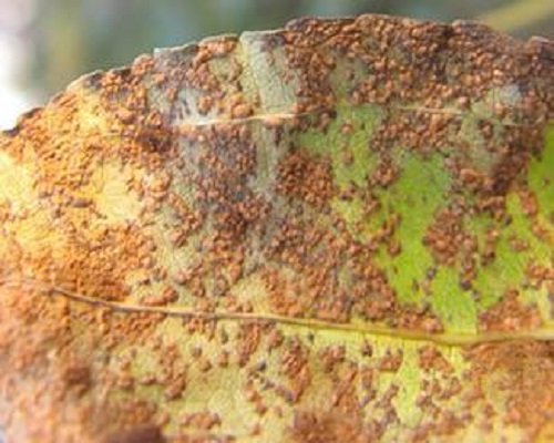 1625626756708574.png 微信圖片_20210707105607.png