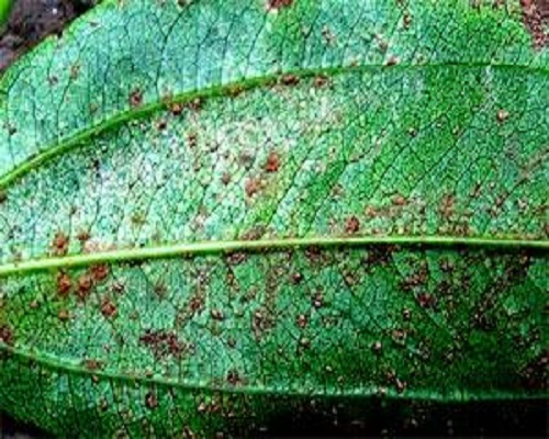 1625626766517857.png 微信圖片_20210707105613.png