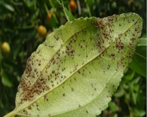 1625626774797441.png 微信圖片_20210707105619.png