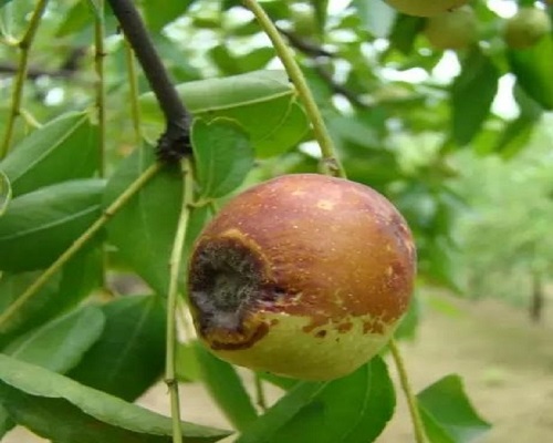 1625801547591429.jpg u=1572052416,617489629&fm=26&gp=0.jpg