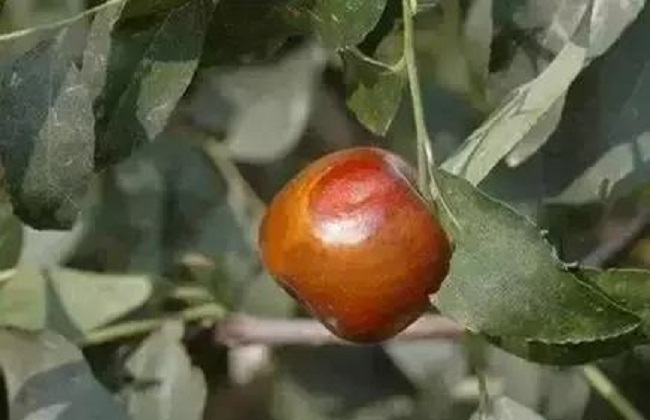 1626251842354073.jpeg u=3477840652,3162793150&fm=173&s=E8BA77D908572E511880013903008046&w=436&h=281&img.JPEG