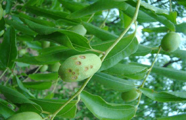 1626251941275541.png a73c5cd0f3a145cc8d0cd7614f537de0.png