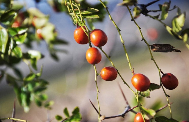 1626680766519445.jpg t016fc046eb71386d43.jpg