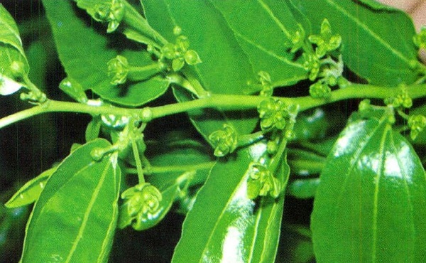 1627453197552755.jpg 10-02-26-13-1.jpg