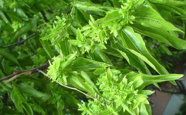 1627453267892230.png 3E0BBC30875344979090885FE7B0C3A0.png