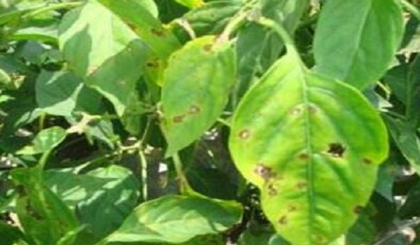 1630547858596981.jpg 1-1F504114950500.jpg